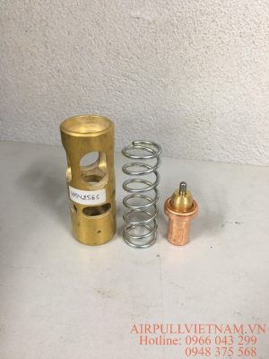 Van hằng nhiêt 60*C 25*65(47695566001)